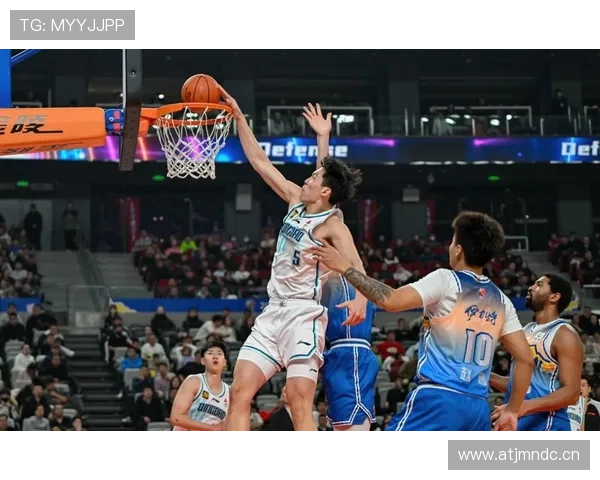 球员防守数据表现稳健，关键指标持续提升