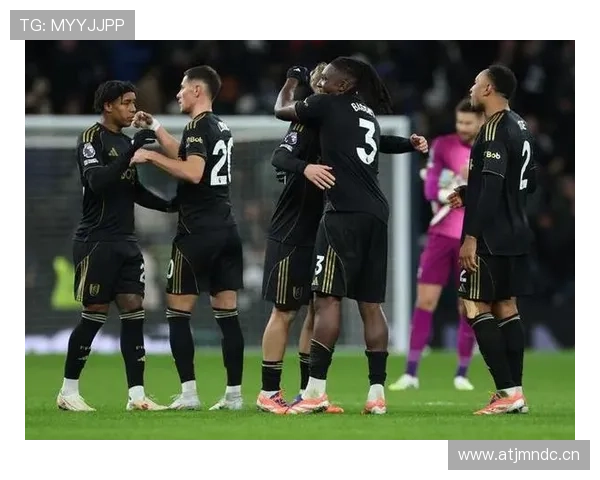 英超水晶宫伤病潮