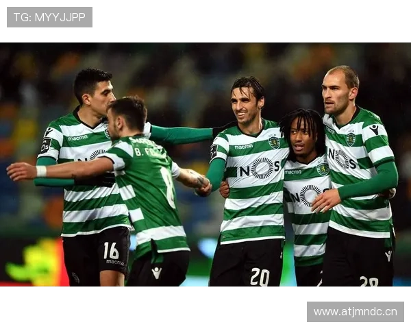 布鲁日比赛节奏