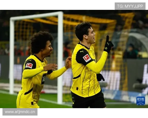 德甲多特新时代