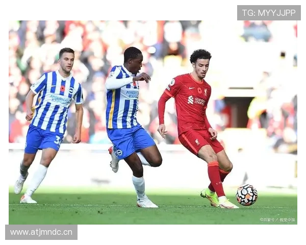 布莱顿本赛季争欧战资格形势分析